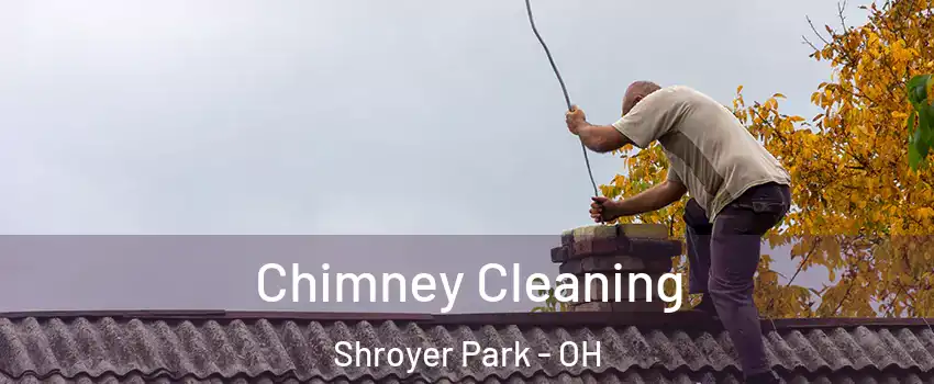 Chimney Cleaning Shroyer Park - OH