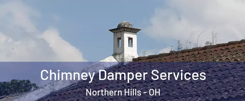 Chimney Damper Services Northern Hills - OH