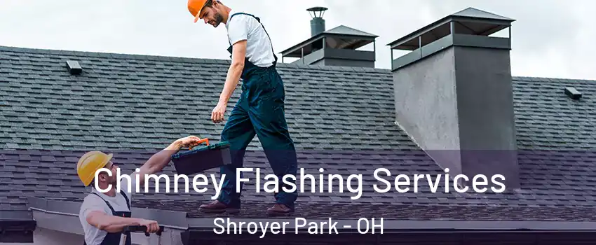 Chimney Flashing Services Shroyer Park - OH