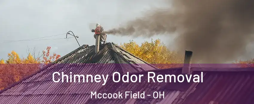 Chimney Odor Removal Mccook Field - OH