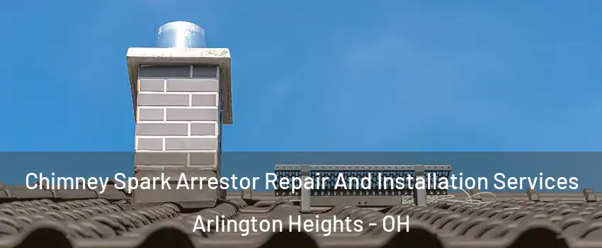 Chimney Spark Arrestor Repair And Installation Services Arlington Heights - OH