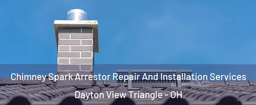 Chimney Spark Arrestor Repair And Installation Services Dayton View Triangle - OH