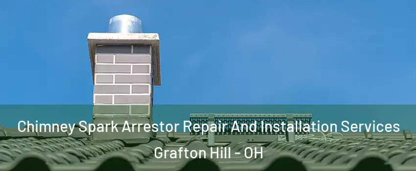 Chimney Spark Arrestor Repair And Installation Services Grafton Hill - OH