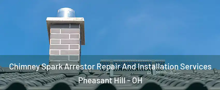 Chimney Spark Arrestor Repair And Installation Services Pheasant Hill - OH