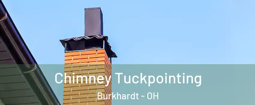 Chimney Tuckpointing Burkhardt - OH