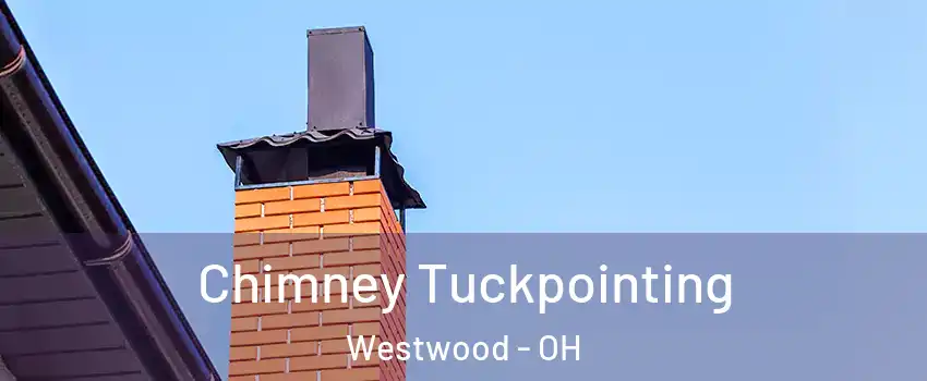 Chimney Tuckpointing Westwood - OH