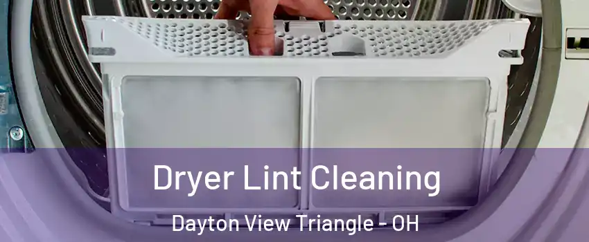 Dryer Lint Cleaning Dayton View Triangle - OH