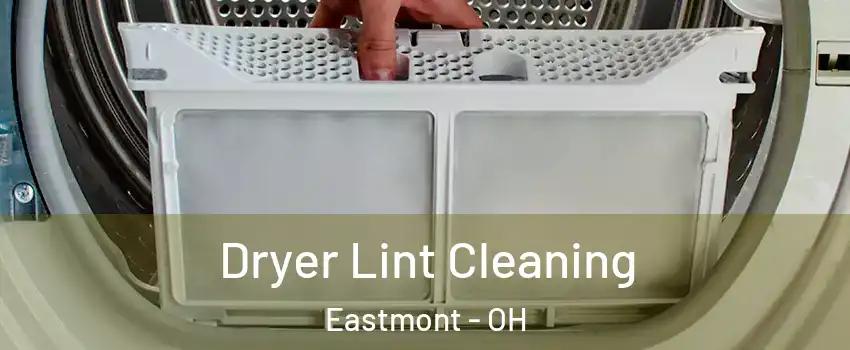 Dryer Lint Cleaning Eastmont - OH