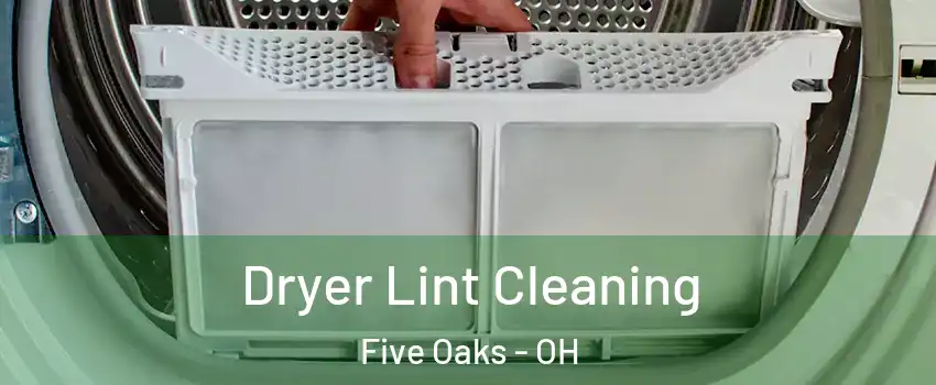 Dryer Lint Cleaning Five Oaks - OH