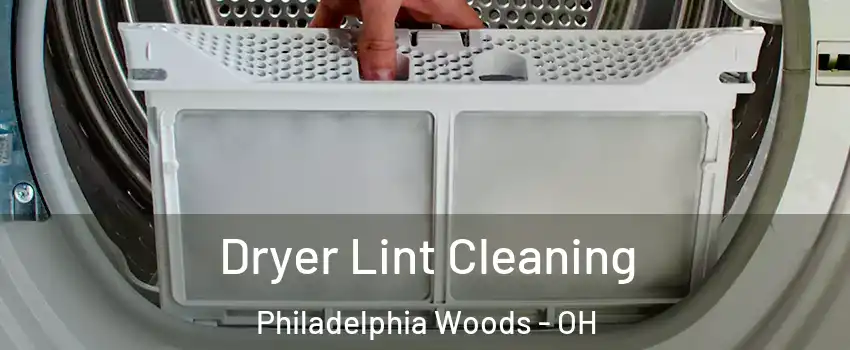 Dryer Lint Cleaning Philadelphia Woods - OH