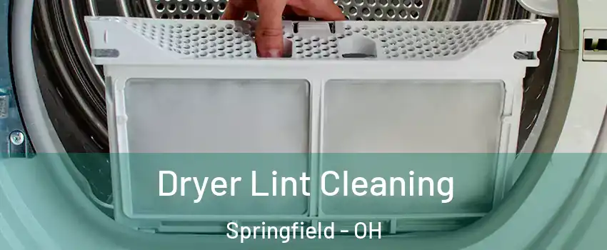 Dryer Lint Cleaning Springfield - OH