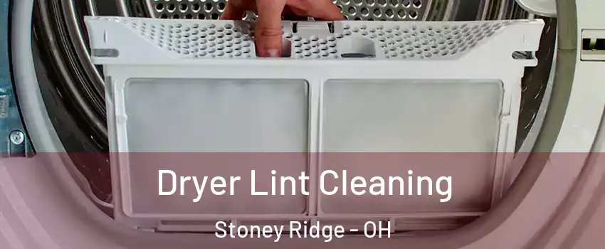 Dryer Lint Cleaning Stoney Ridge - OH