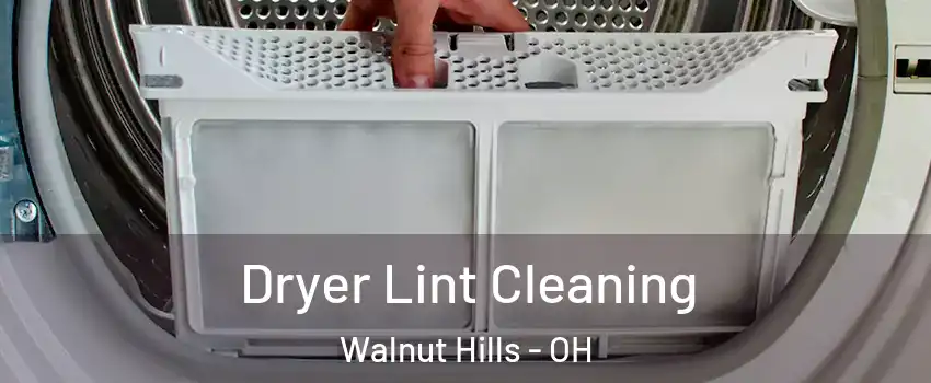 Dryer Lint Cleaning Walnut Hills - OH