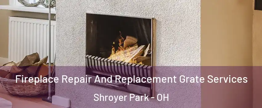 Fireplace Repair And Replacement Grate Services Shroyer Park - OH