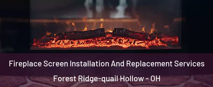 Fireplace Screen Installation And Replacement Services Forest Ridge-quail Hollow - OH