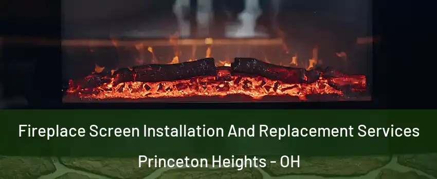 Fireplace Screen Installation And Replacement Services Princeton Heights - OH