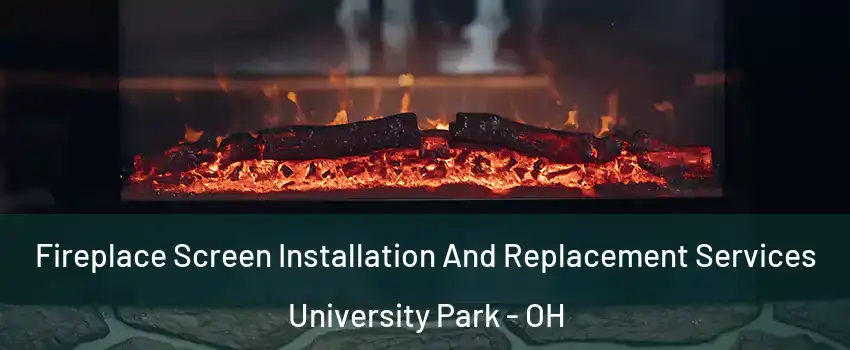 Fireplace Screen Installation And Replacement Services University Park - OH