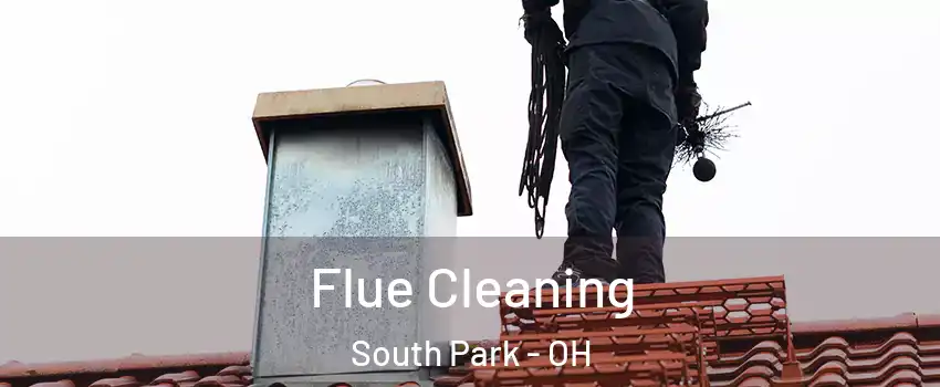 Flue Cleaning South Park - OH