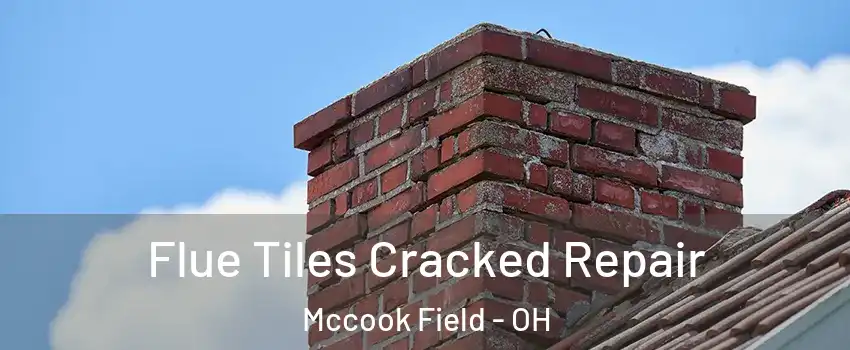 Flue Tiles Cracked Repair Mccook Field - OH