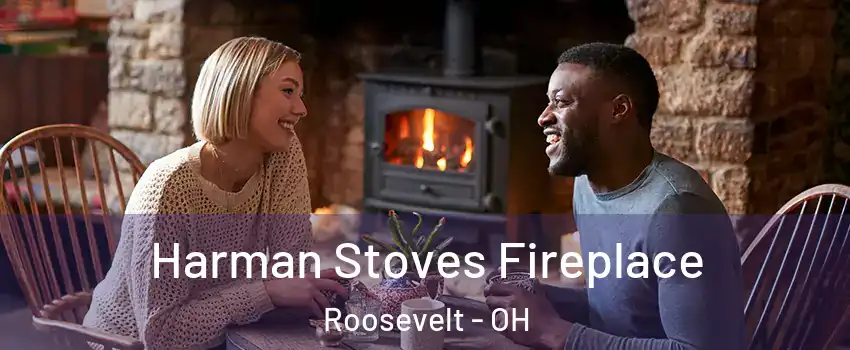 Harman Stoves Fireplace Roosevelt - OH