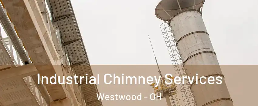 Industrial Chimney Services Westwood - OH