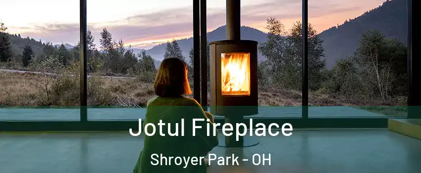 Jotul Fireplace Shroyer Park - OH