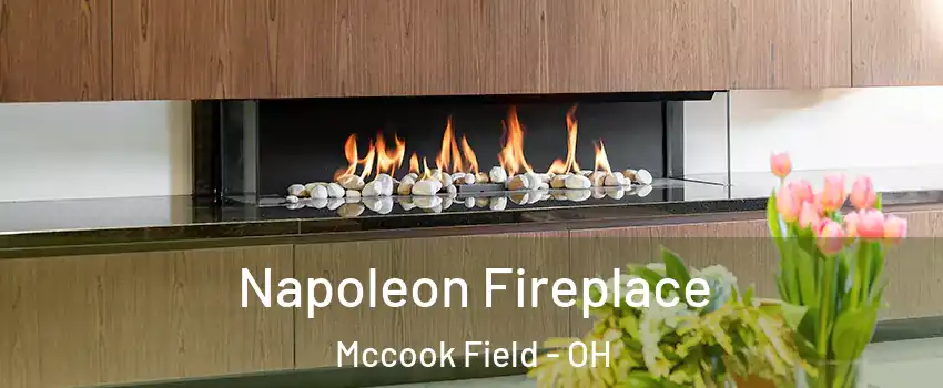 Napoleon Fireplace Mccook Field - OH