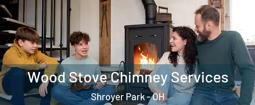 Wood Stove Chimney Services Shroyer Park - OH