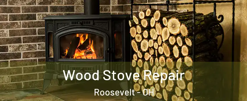 Wood Stove Repair Roosevelt - OH